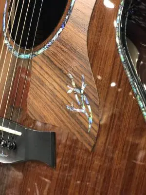 Taylor Guitars - Presentation Series PS14CE H RW 2